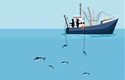 pesca a canna