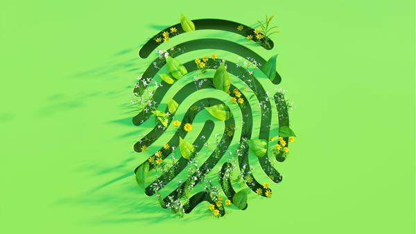 impronta verde
