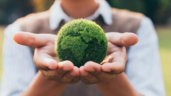 mani con pallina verde a forma di Terra